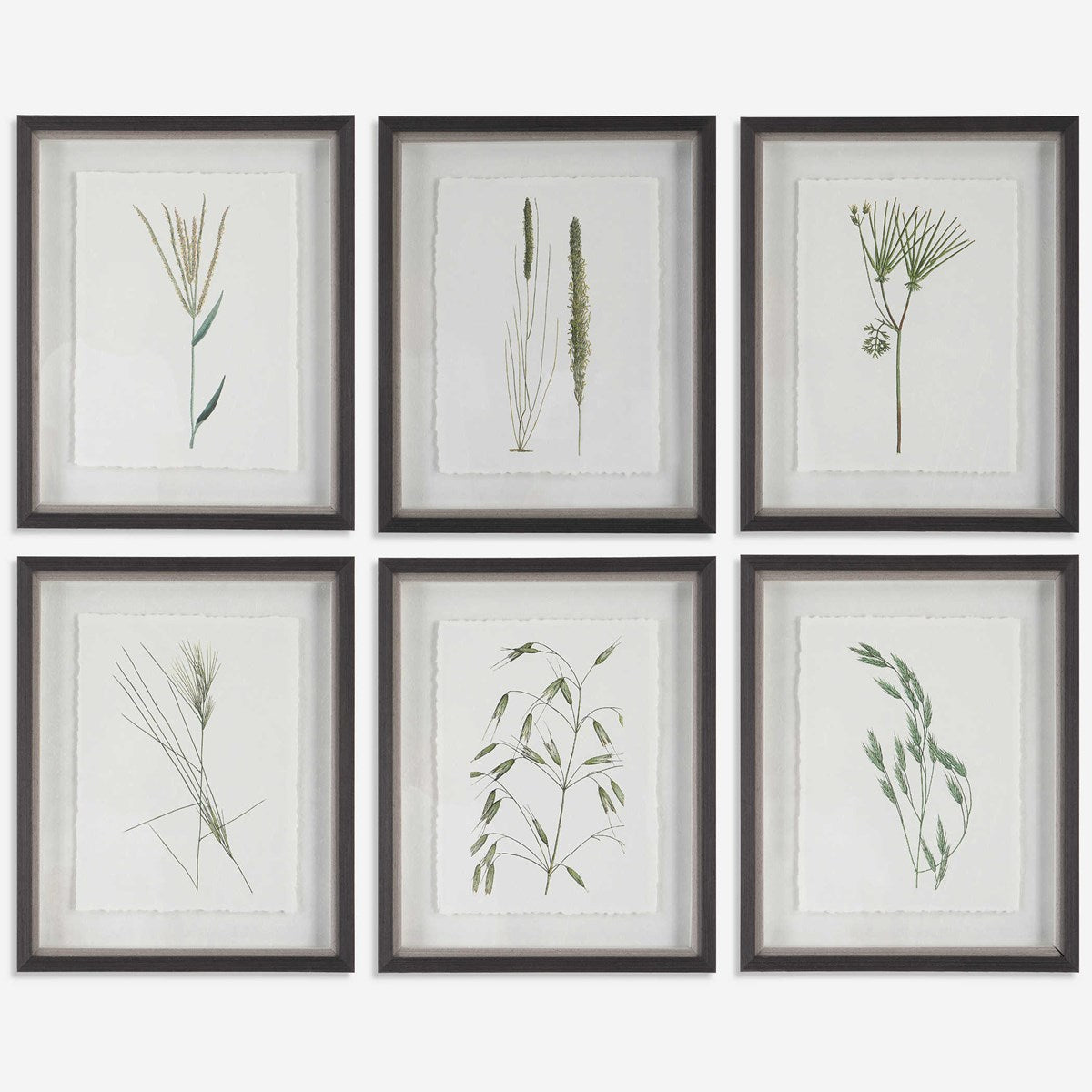 Wild Botanicals -Set of 6