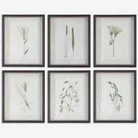 Wild Botanicals -Set of 6