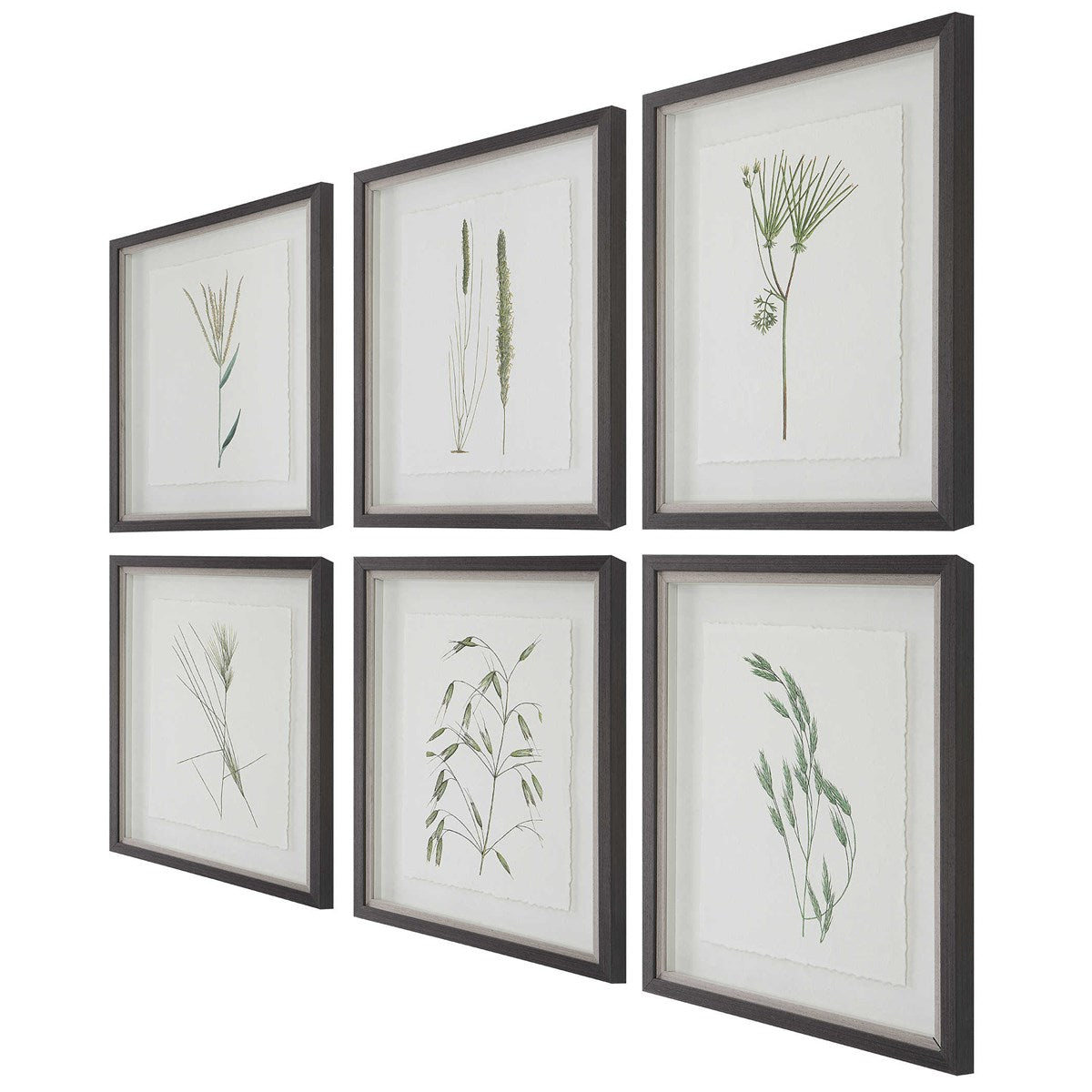 Wild Botanicals -Set of 6