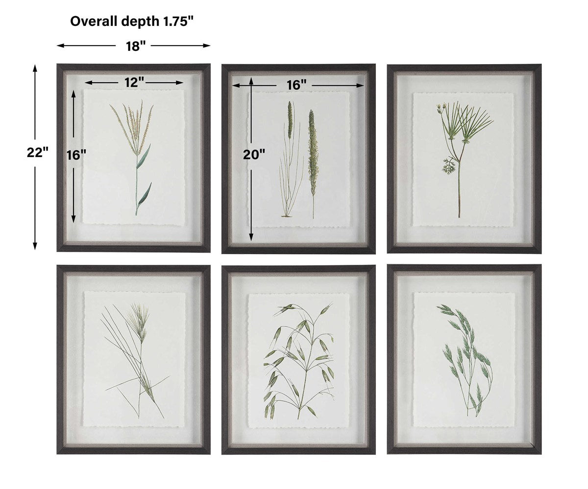 Wild Botanicals -Set of 6