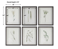 Wild Botanicals -Set of 6