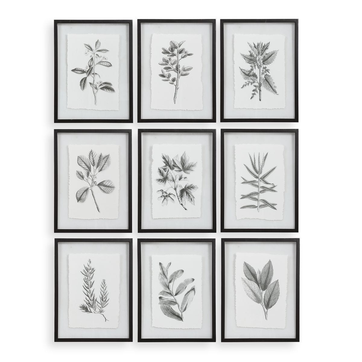 Farmhouse Florals Framed Prints - Set of 9
