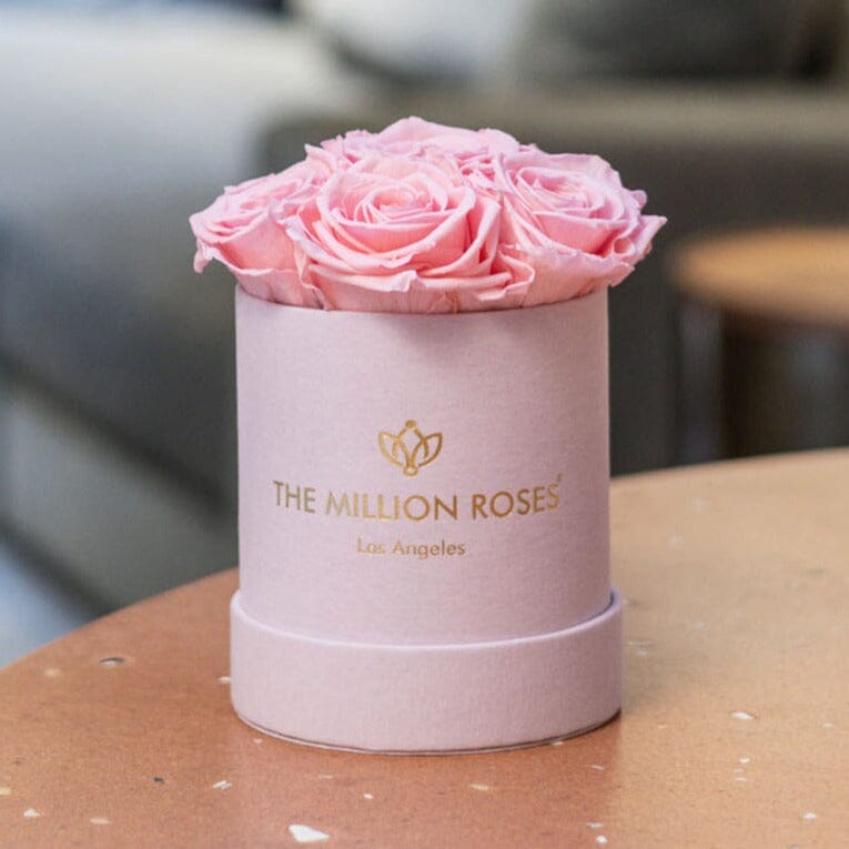 Essence Light Pink Suede Box | Light Pink Roses