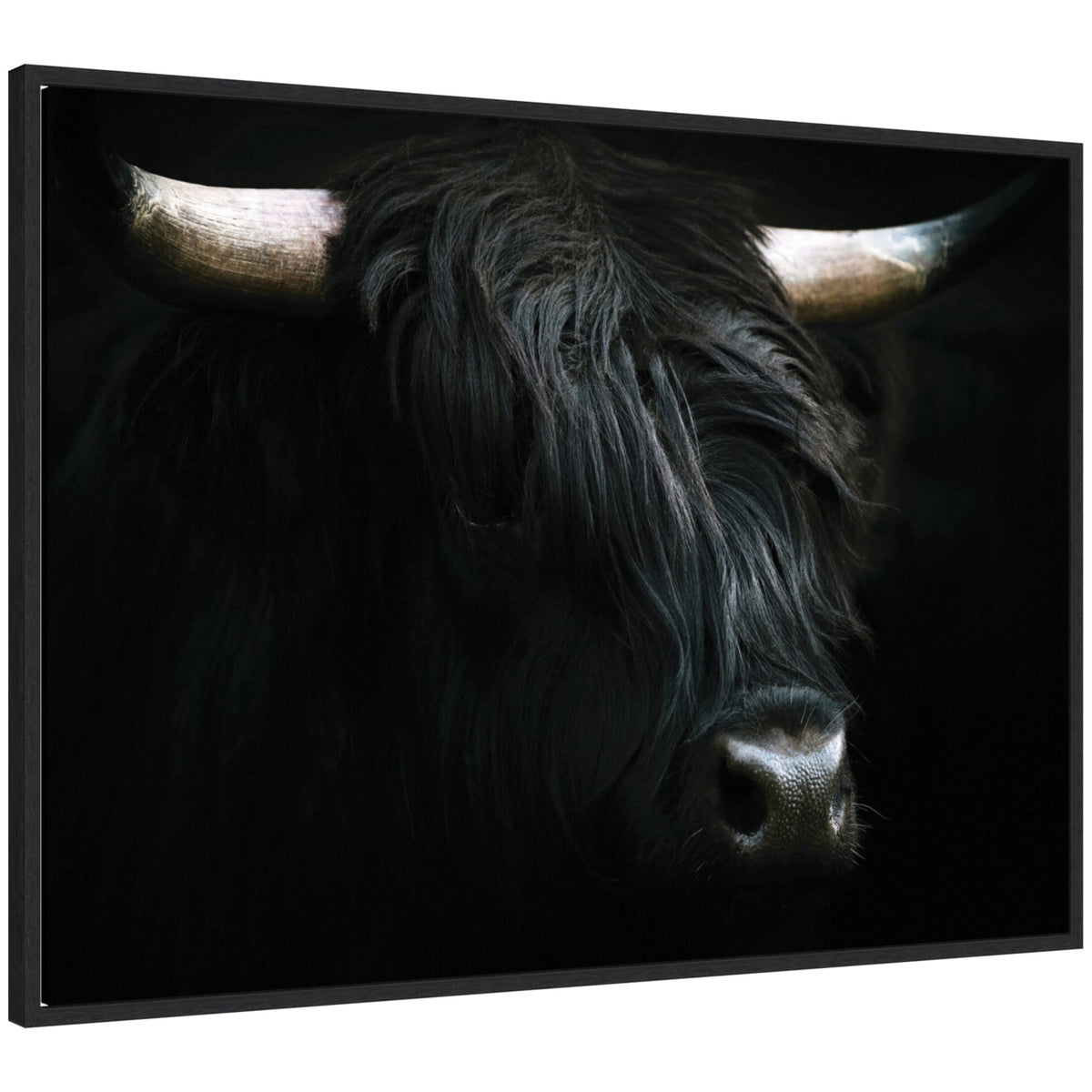 Sylvie Minimalist Black Highland Cow Framed Canvas by Michael Schauer