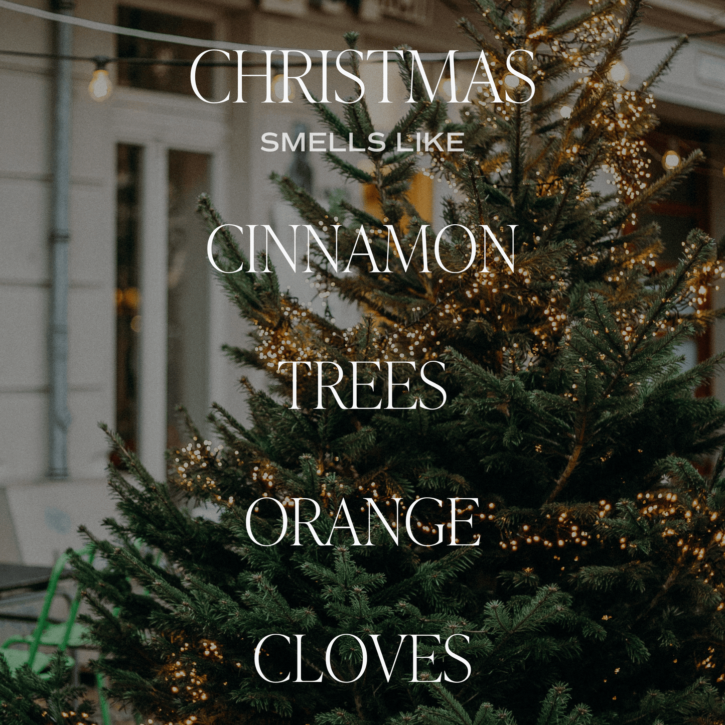 *NEW* Christmas Reed Diffuser