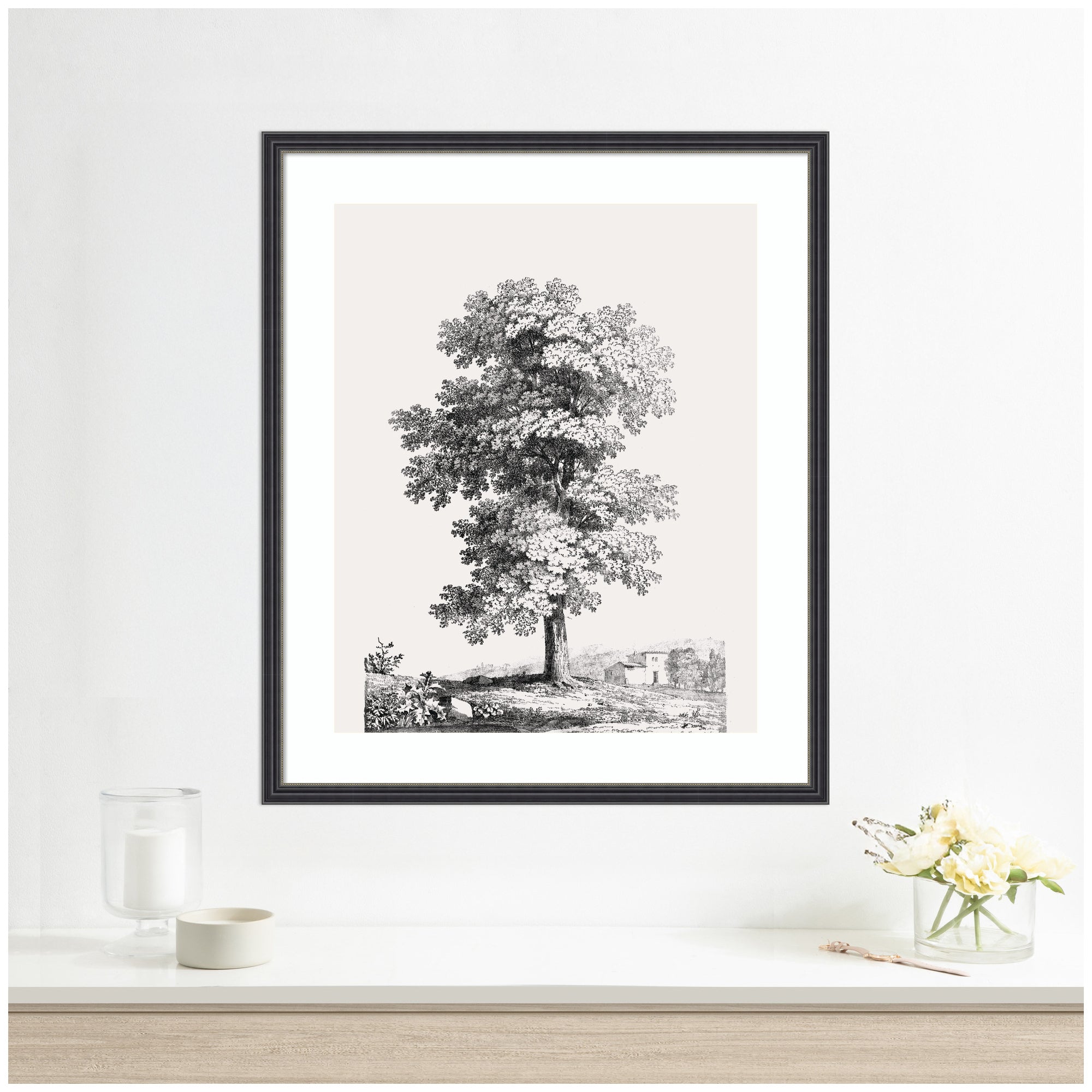 Framed Art Jean Victor Bertin Study of a Tree 1816 by The Art Institute of Chicago