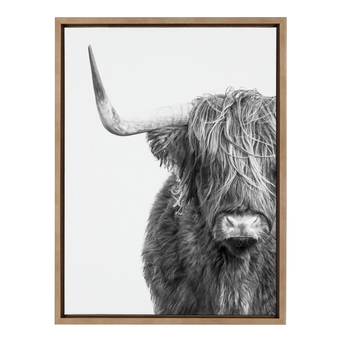 Sylvie B&W Highland Cow No. 1 Framed Canvas by Amy Peterson Art Studio