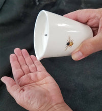 Bee Illuminated Lotion Candle