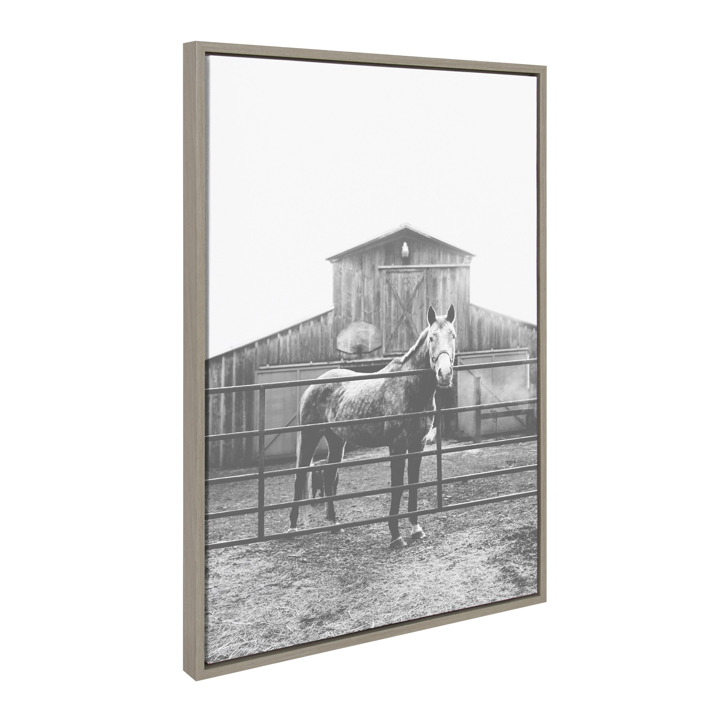 Sylvie Modern Farmhouse Horse Black and White Framed Canvas by Patricia Hasz