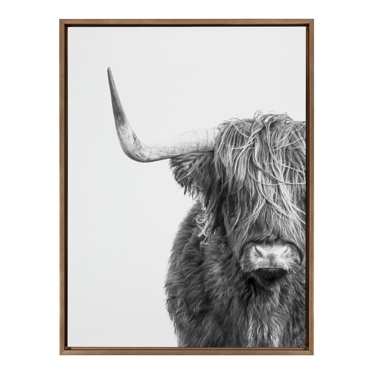 Sylvie B&W Highland Cow No. 1 Framed Canvas by Amy Peterson Art Studio