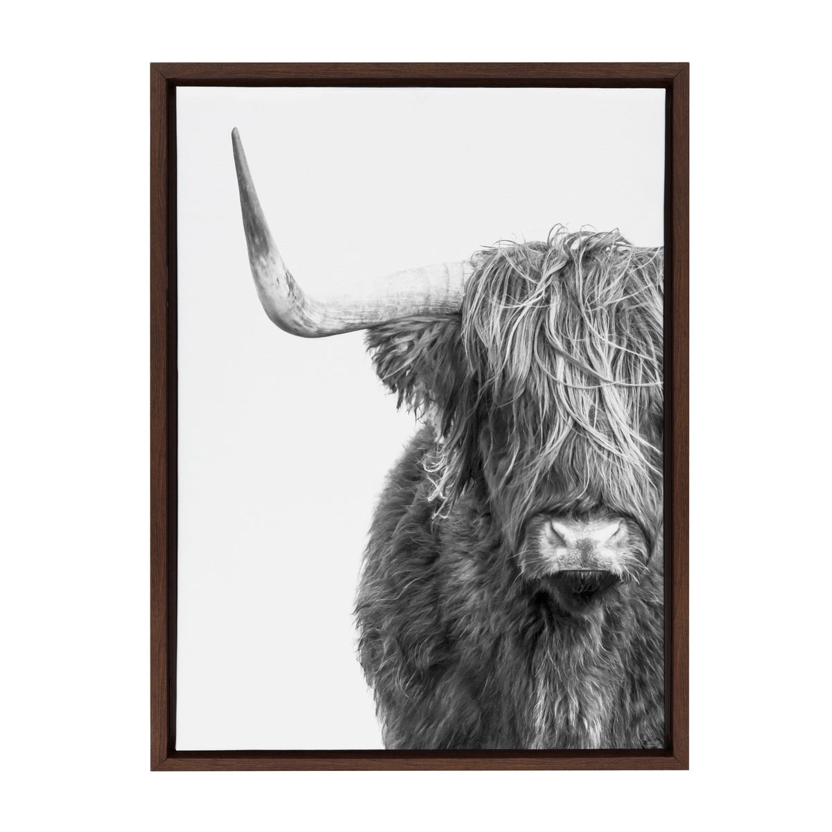 Sylvie B&W Highland Cow No. 1 Framed Canvas by Amy Peterson Art Studio