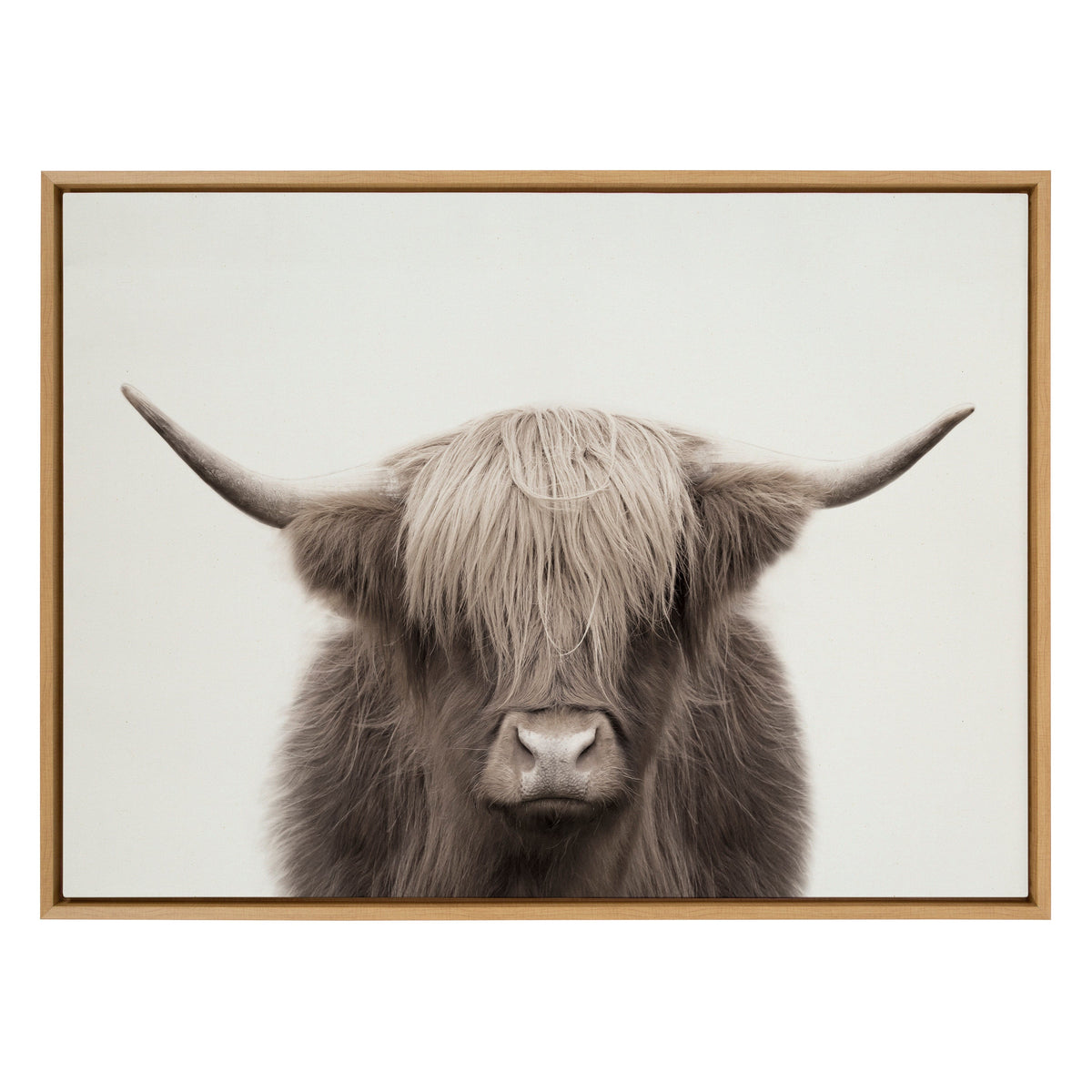 Sylvie Hey Dude Highland Cow Color Framed Canvas by The Creative Bunch Studio