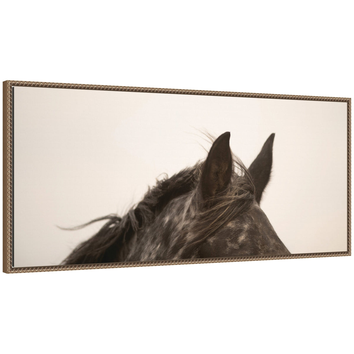 Horse Ears Panel by Crystal Lynn Collins Framed Canvas Wall Art Print
