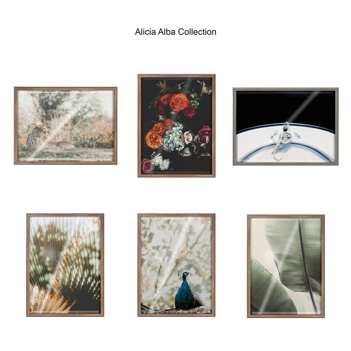 Blake Abundance Framed Printed Glass by Alicia Abla