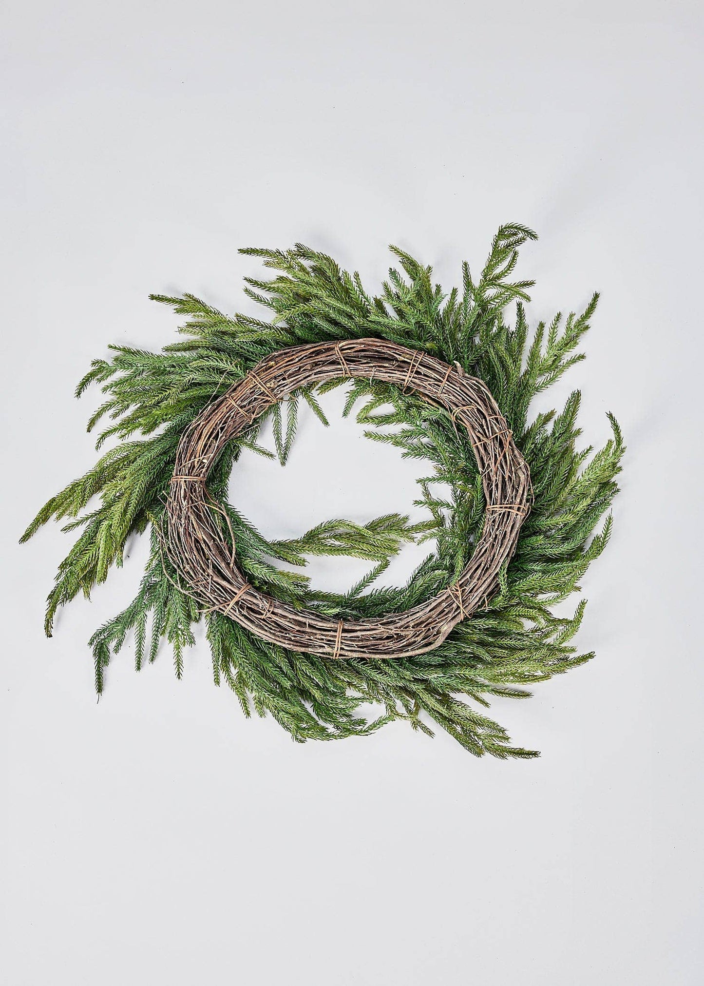 Norfolk Pine Wreath
