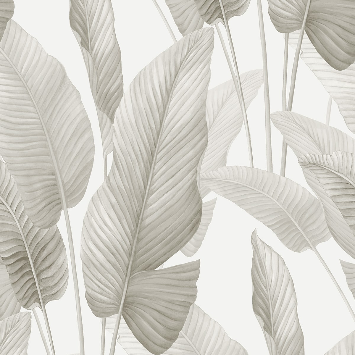 Bali Tropical Mantra Palm Leaf Tropical Unpasted Wallpaper