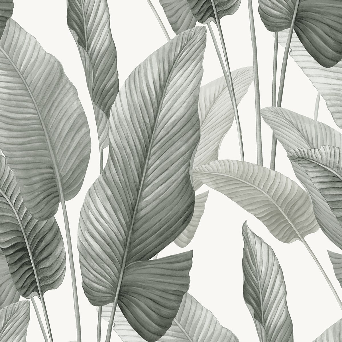 Bali Tropical Mantra Palm Leaf Tropical Unpasted Wallpaper