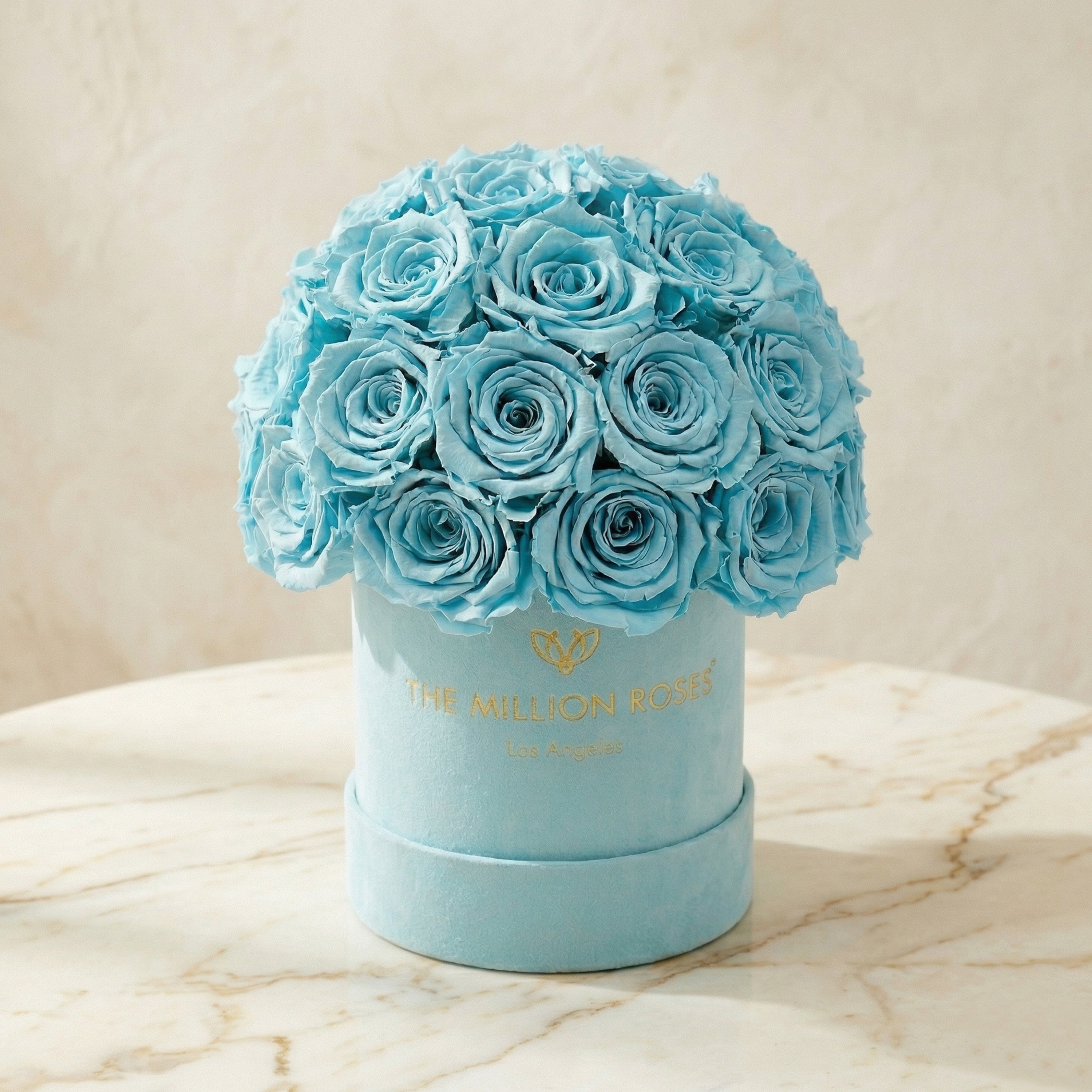 Essence Mint Green Suede Superdome Box | Turquoise Roses