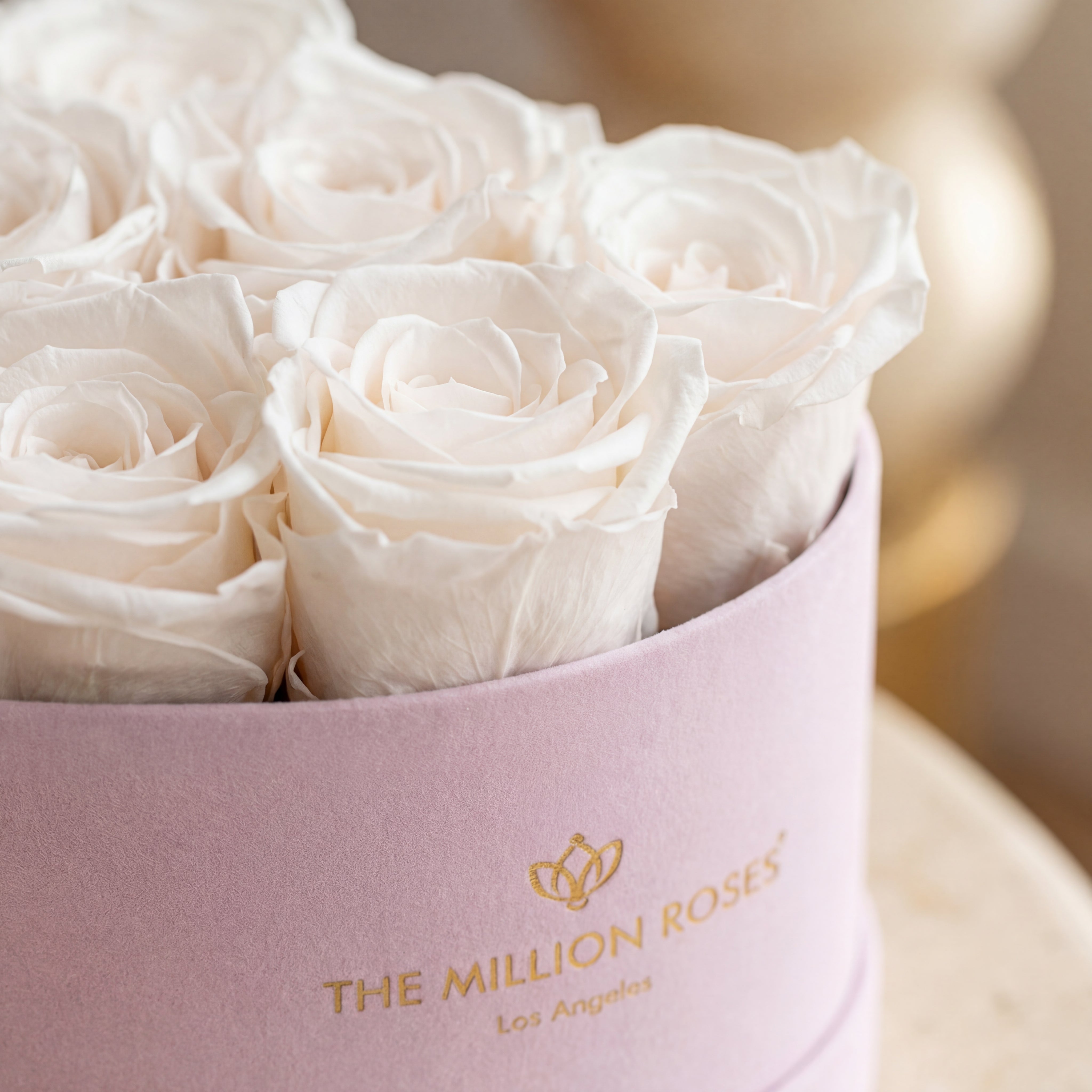Baby Heart Light Pink Box | White Roses