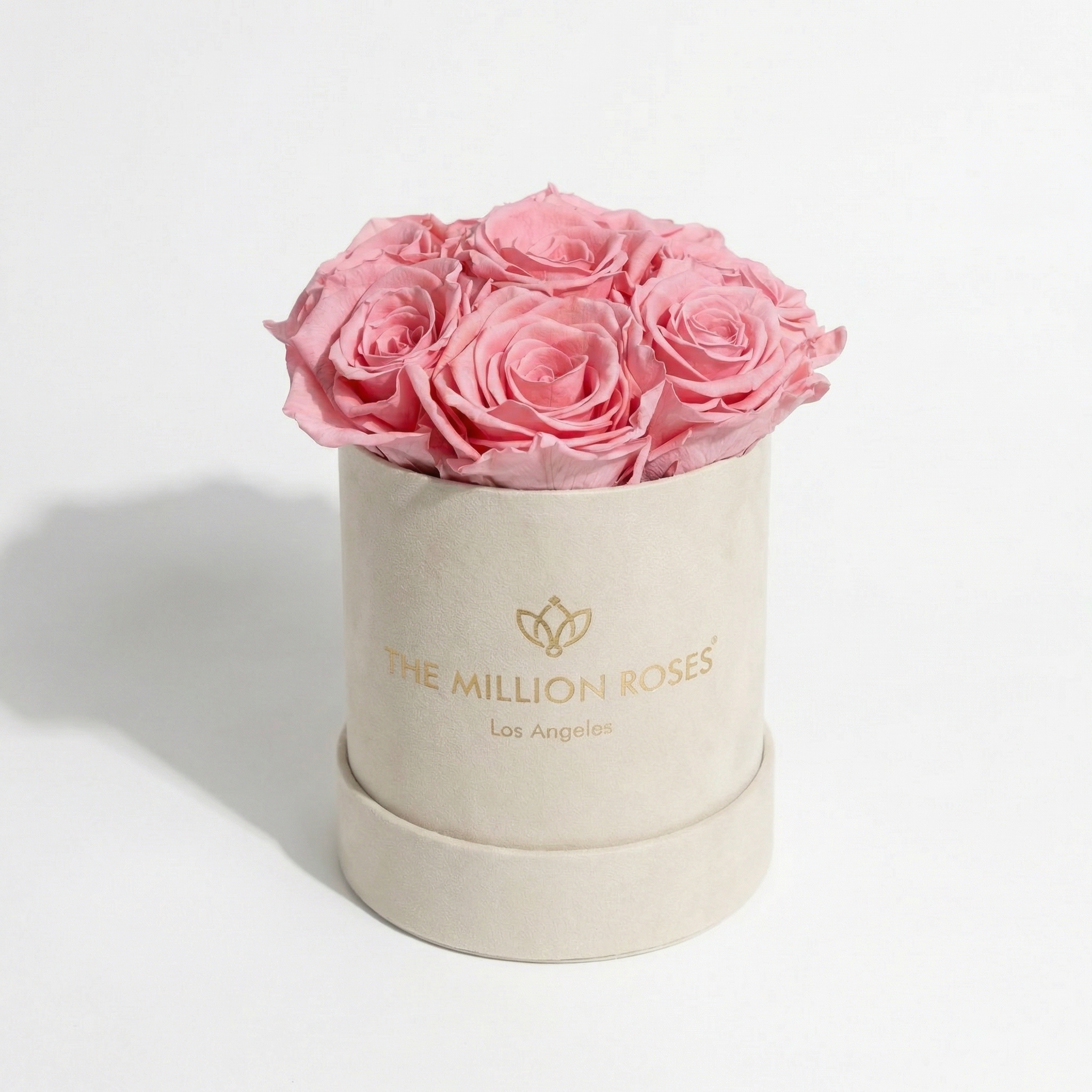 Essence Beige Suede Box | Light Pink Roses