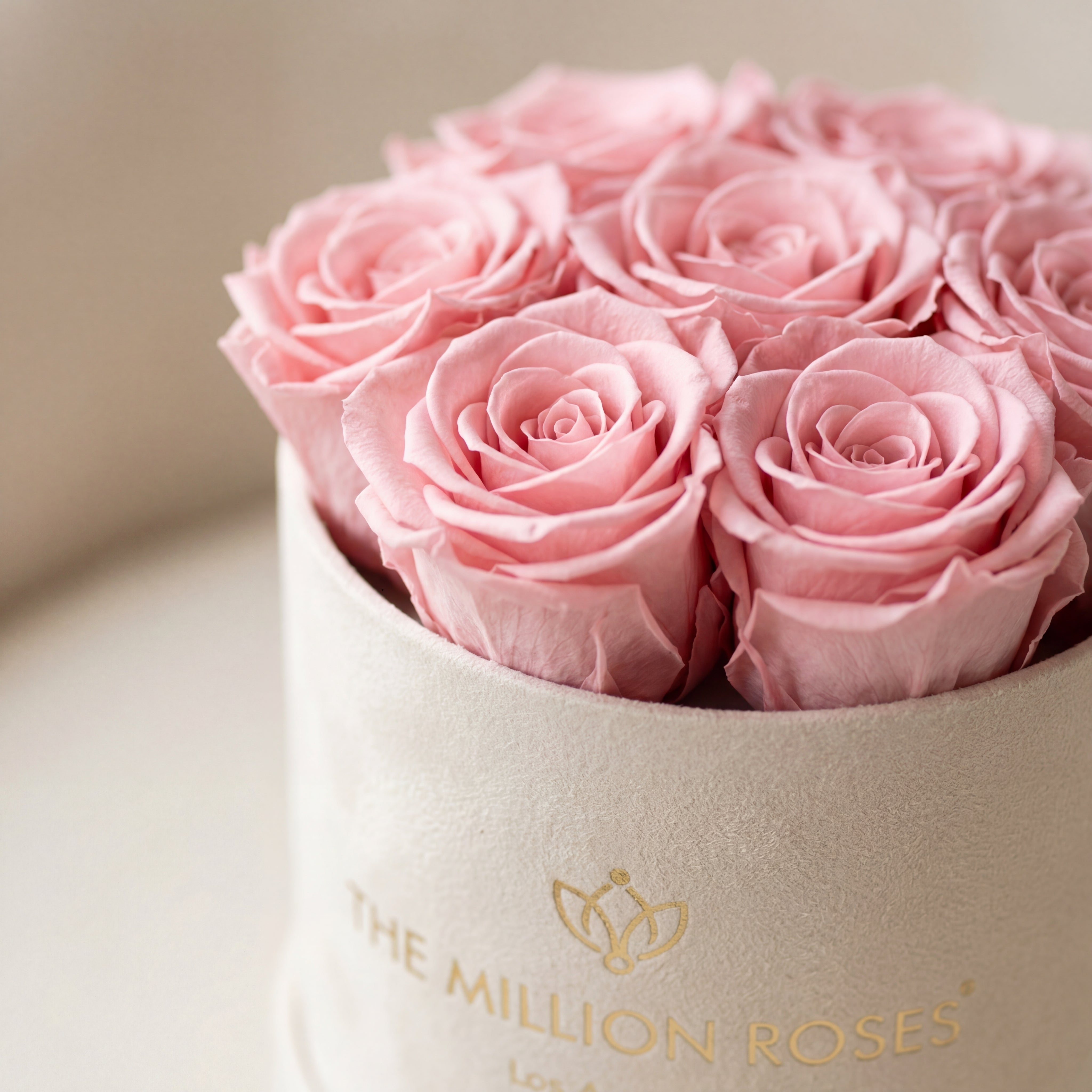 Essence Beige Suede Box | Light Pink Roses
