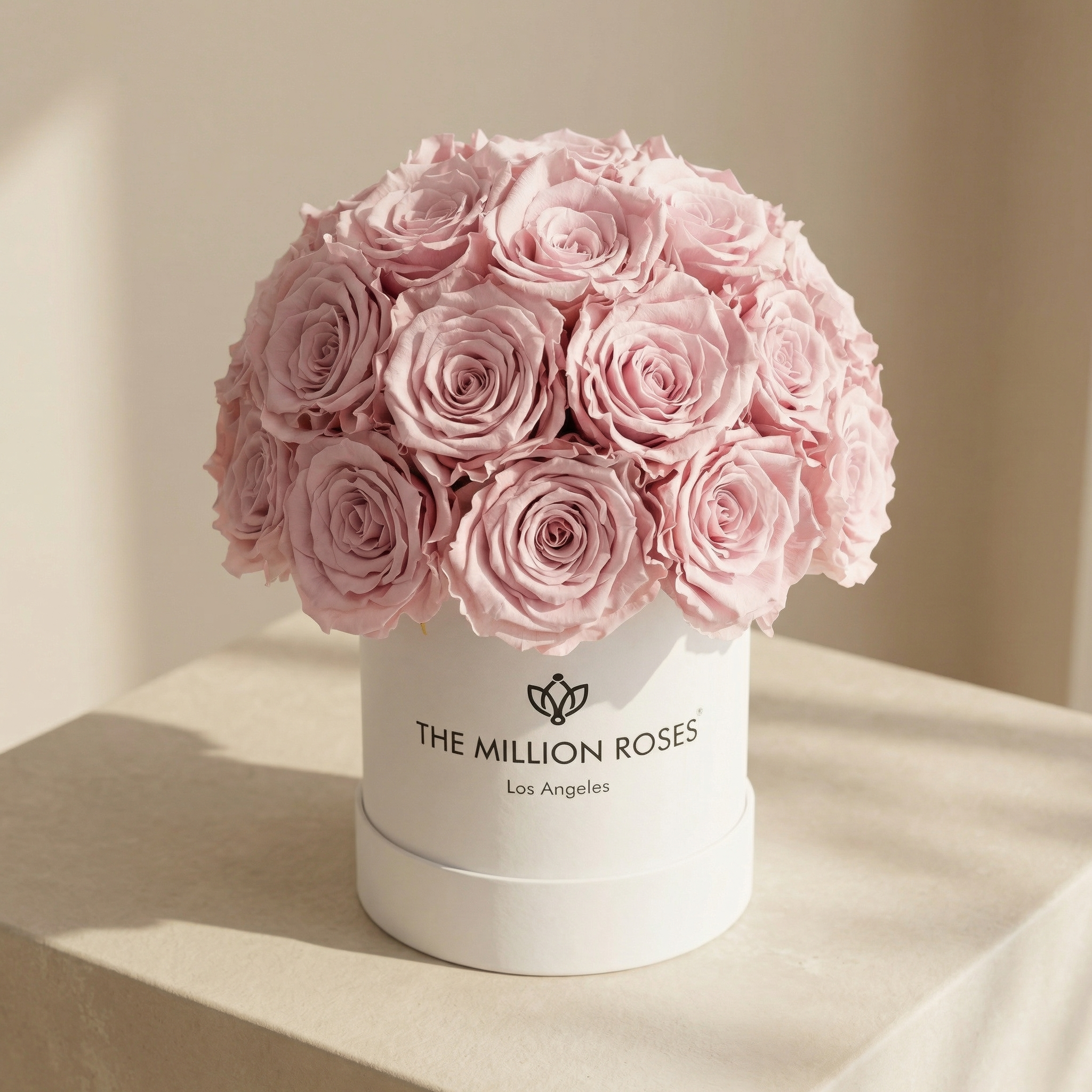 Essence White Superdome Box | Light Pink Roses