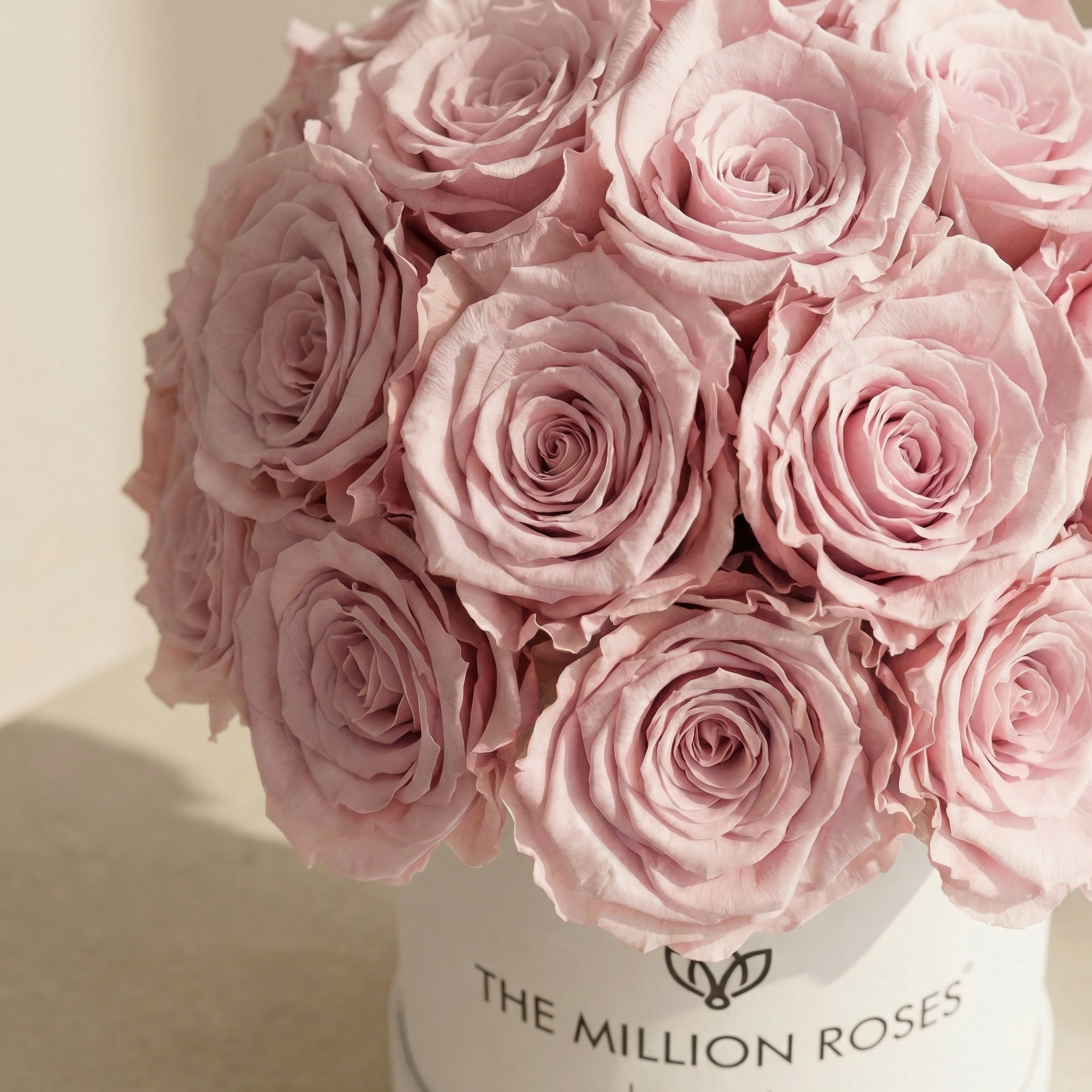 Essence White Superdome Box | Light Pink Roses