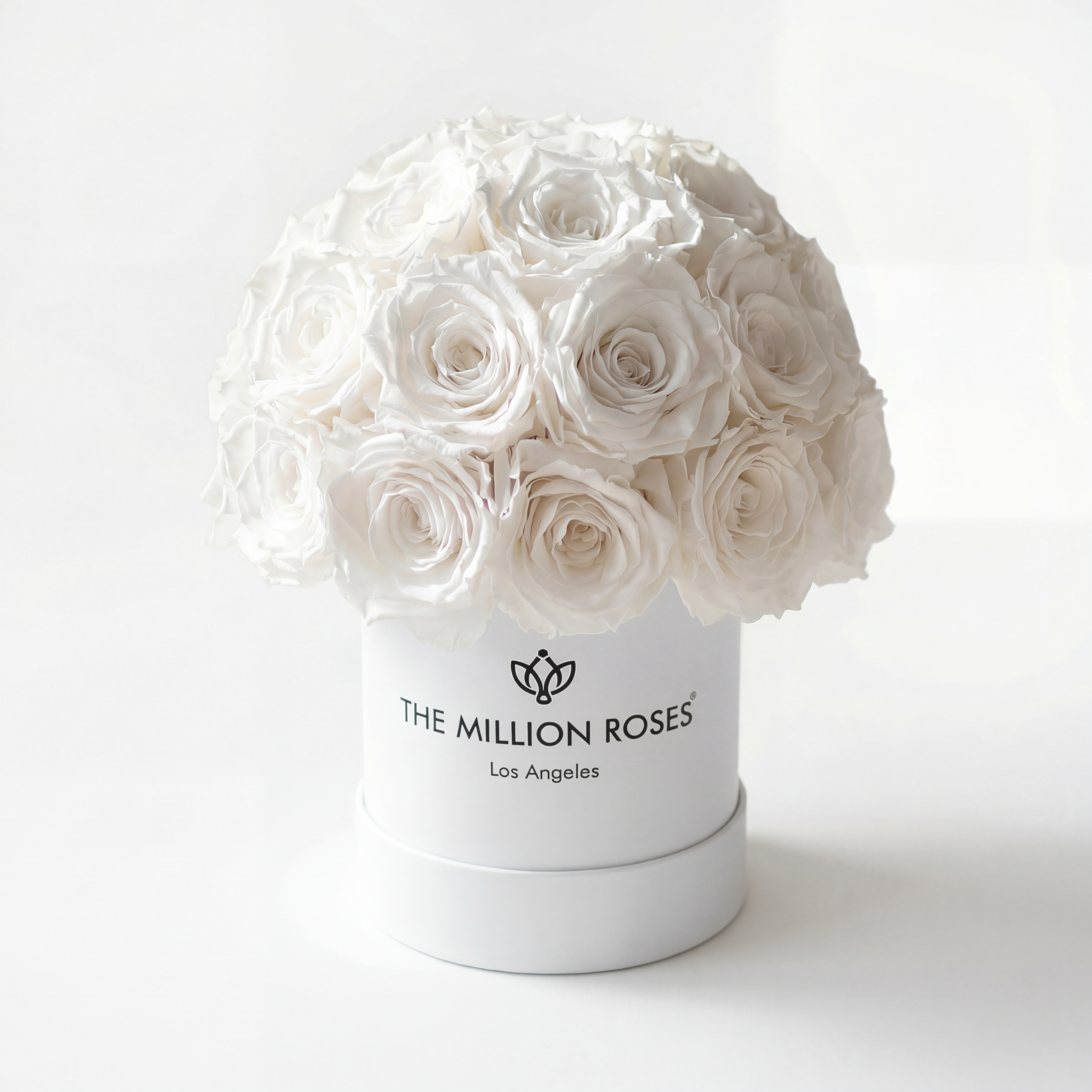 Essence White Superdome Box | White Roses