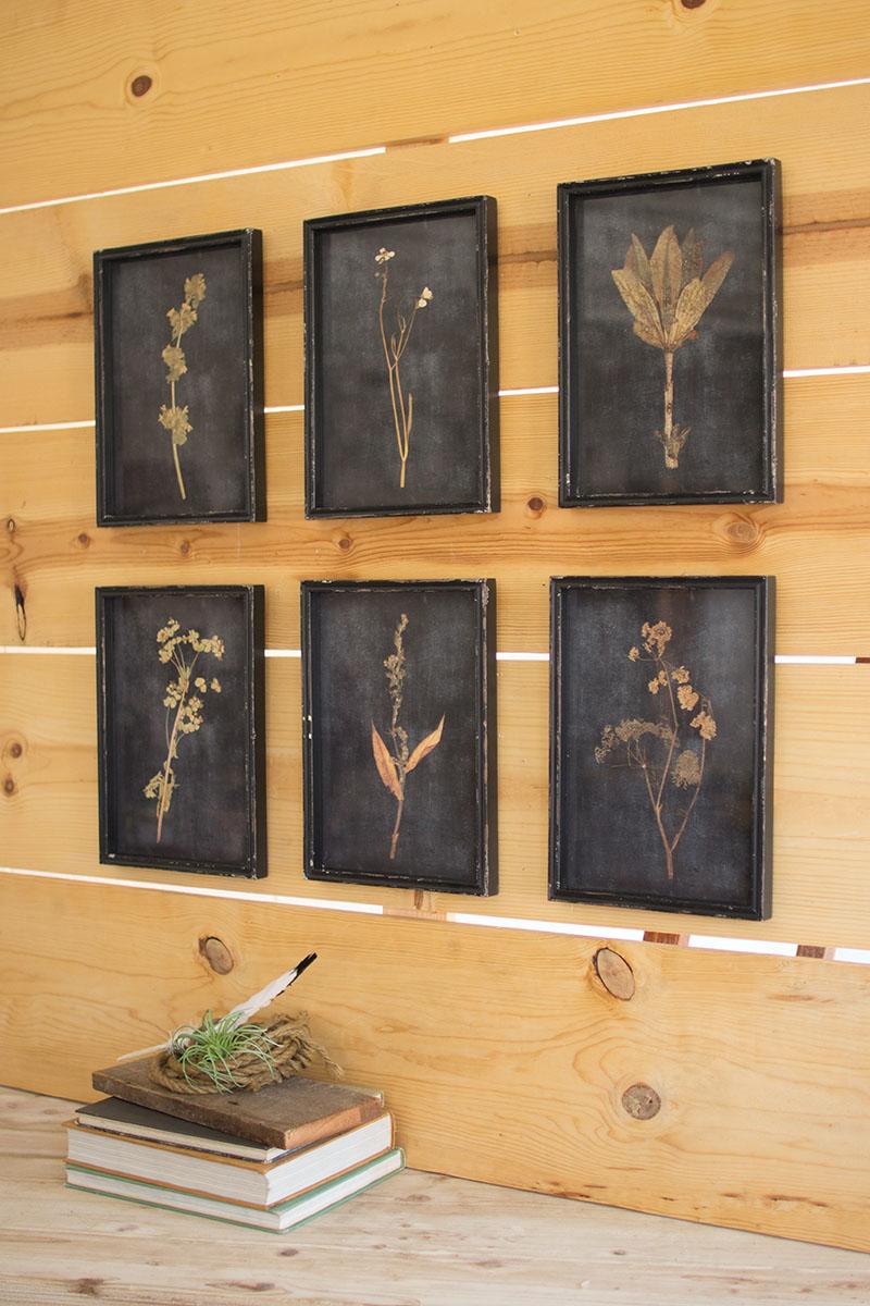 Botanical Prints under Glass - Set of 6
