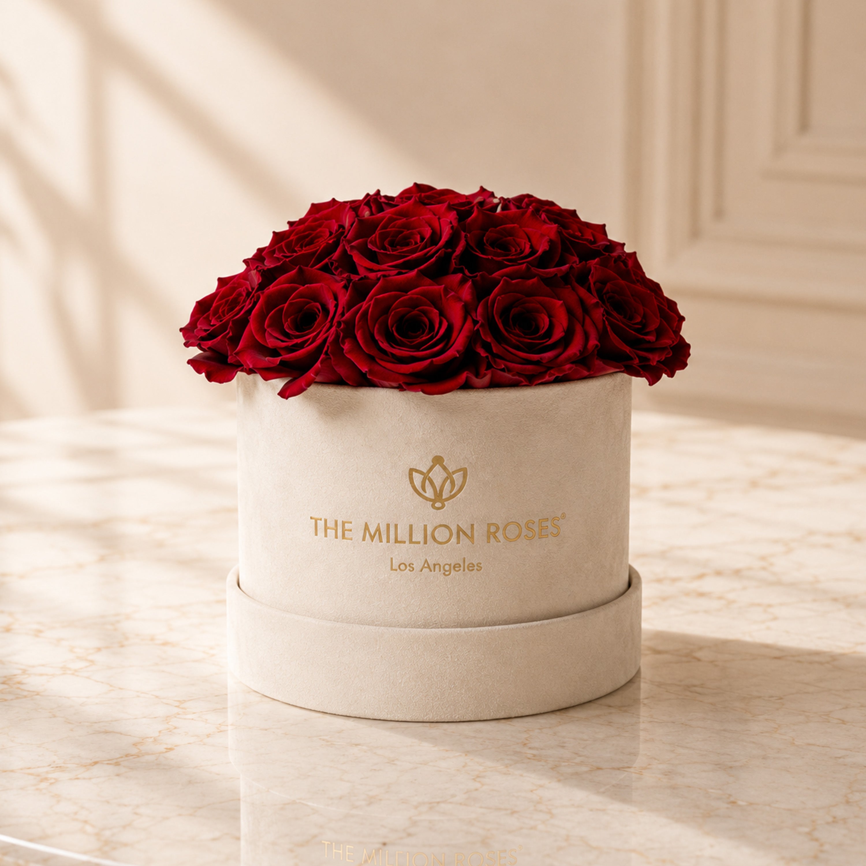 Classic Beige Suede Dome Box | Red Roses