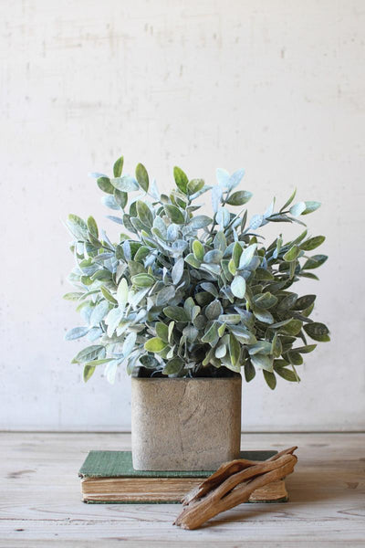 Artificial Sage Bush in Square Pot