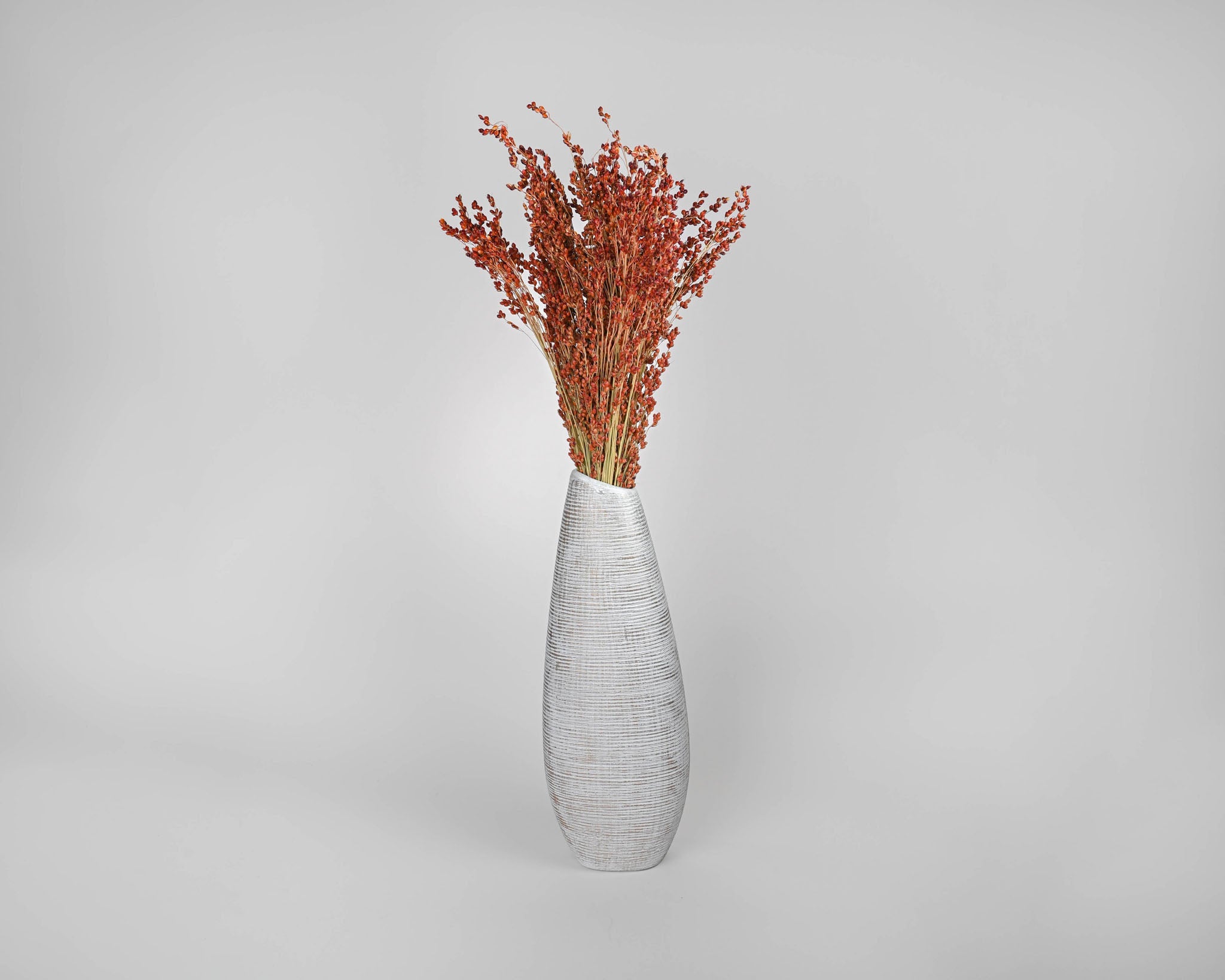 Dried Red Broom Corn - Decorative Broom Corn | 24 Bunches | Red