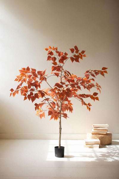 Artificial Autumn Birch Tree in a Black Plastic Pot