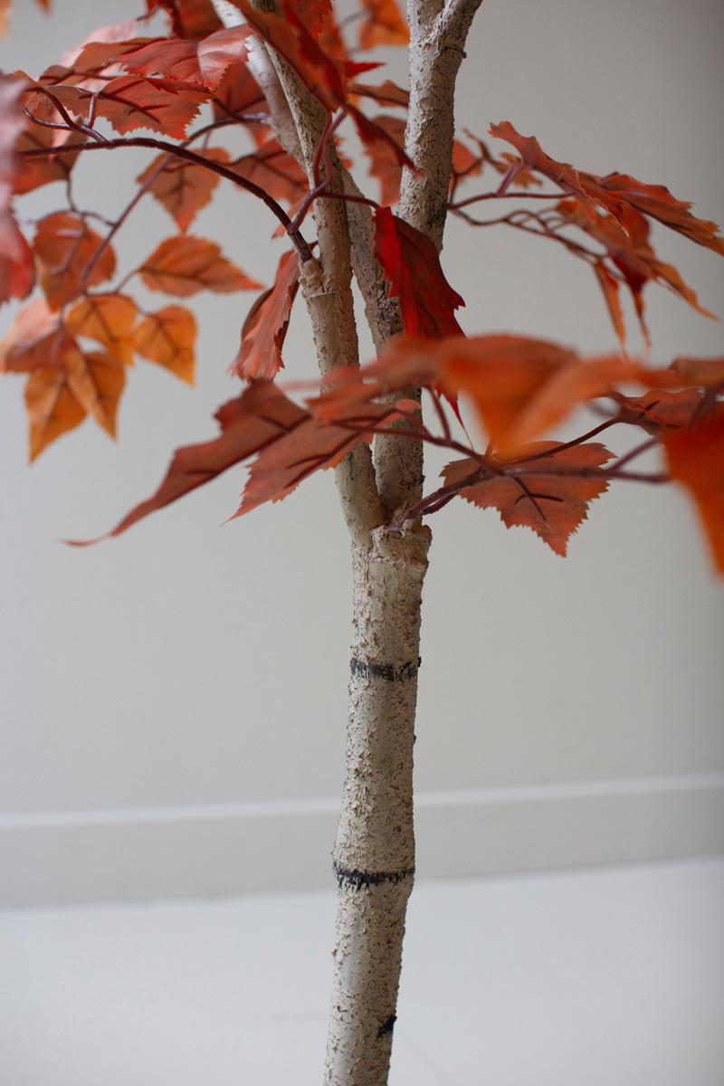 Artificial Autumn Birch Tree in a Black Plastic Pot