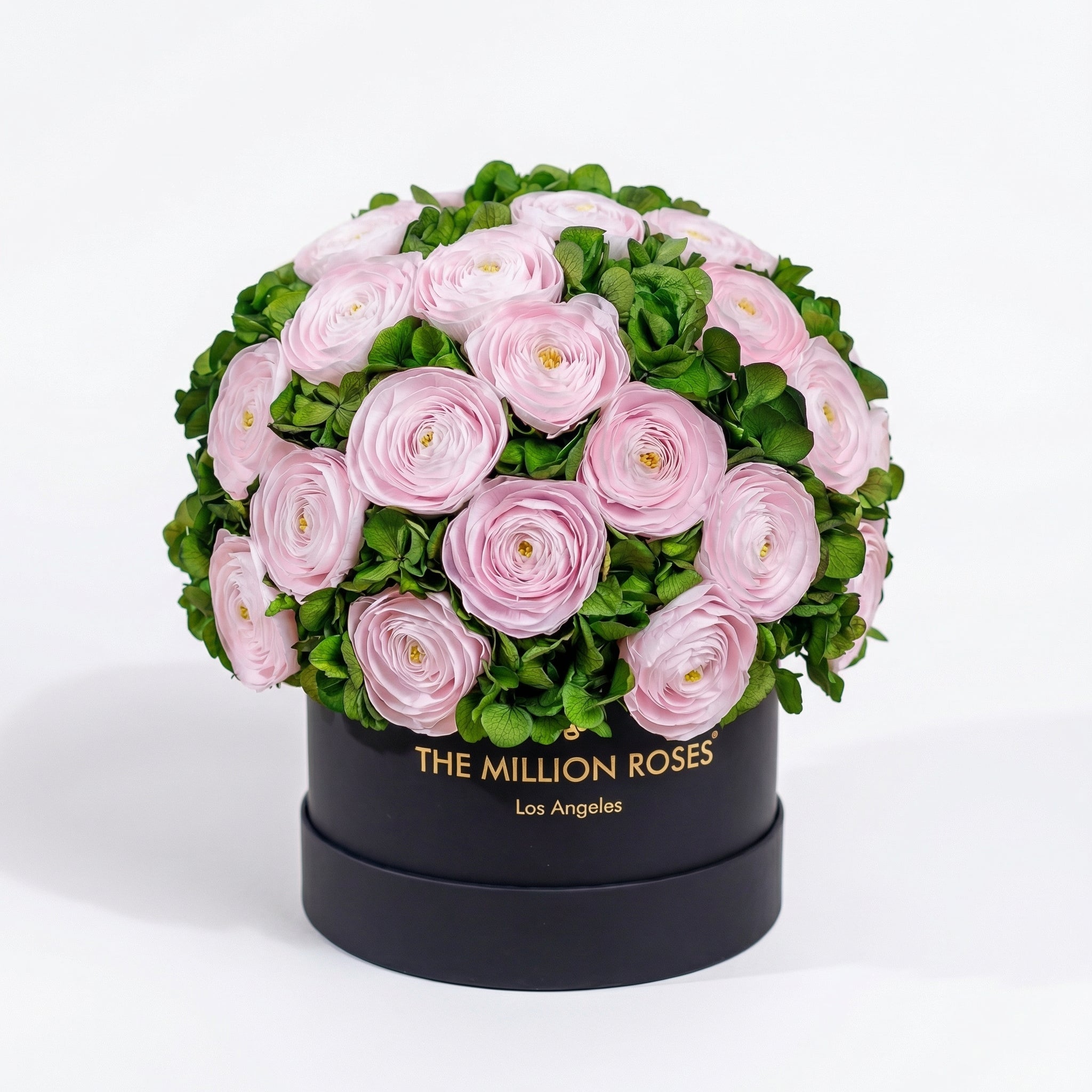 Classic Black Box | Light Pink Persian Buttercups & Green Hydrangeas