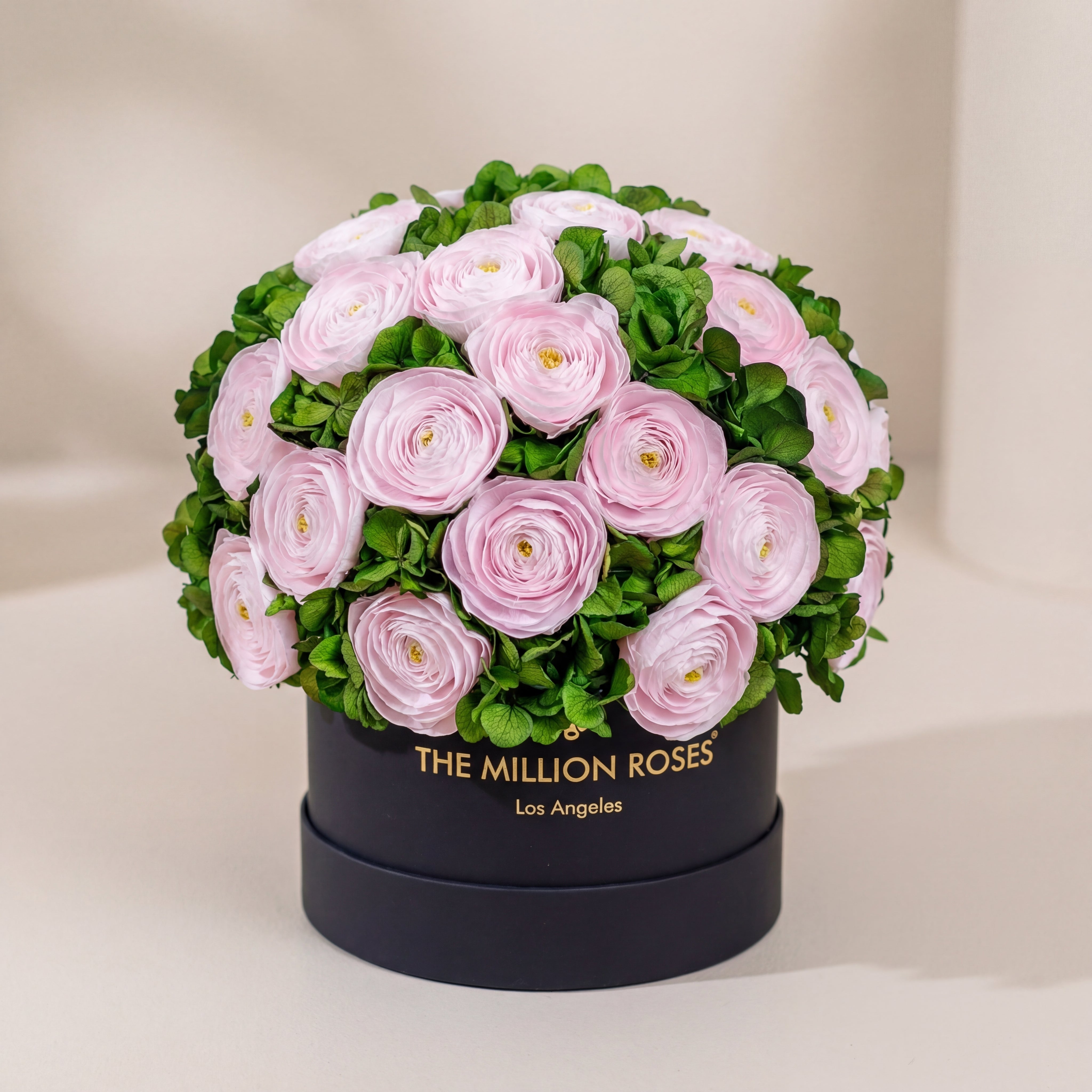 Classic Black Box | Light Pink Persian Buttercups & Green Hydrangeas