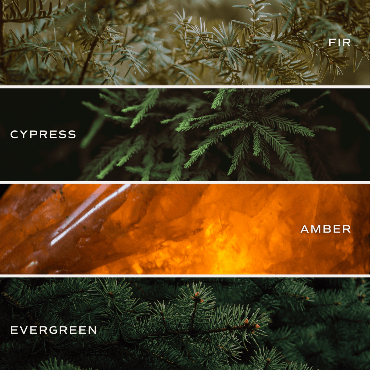 Snow Covered Pines (Fraser Fir) Olive Tinted Glass Jar Reed Diffuser