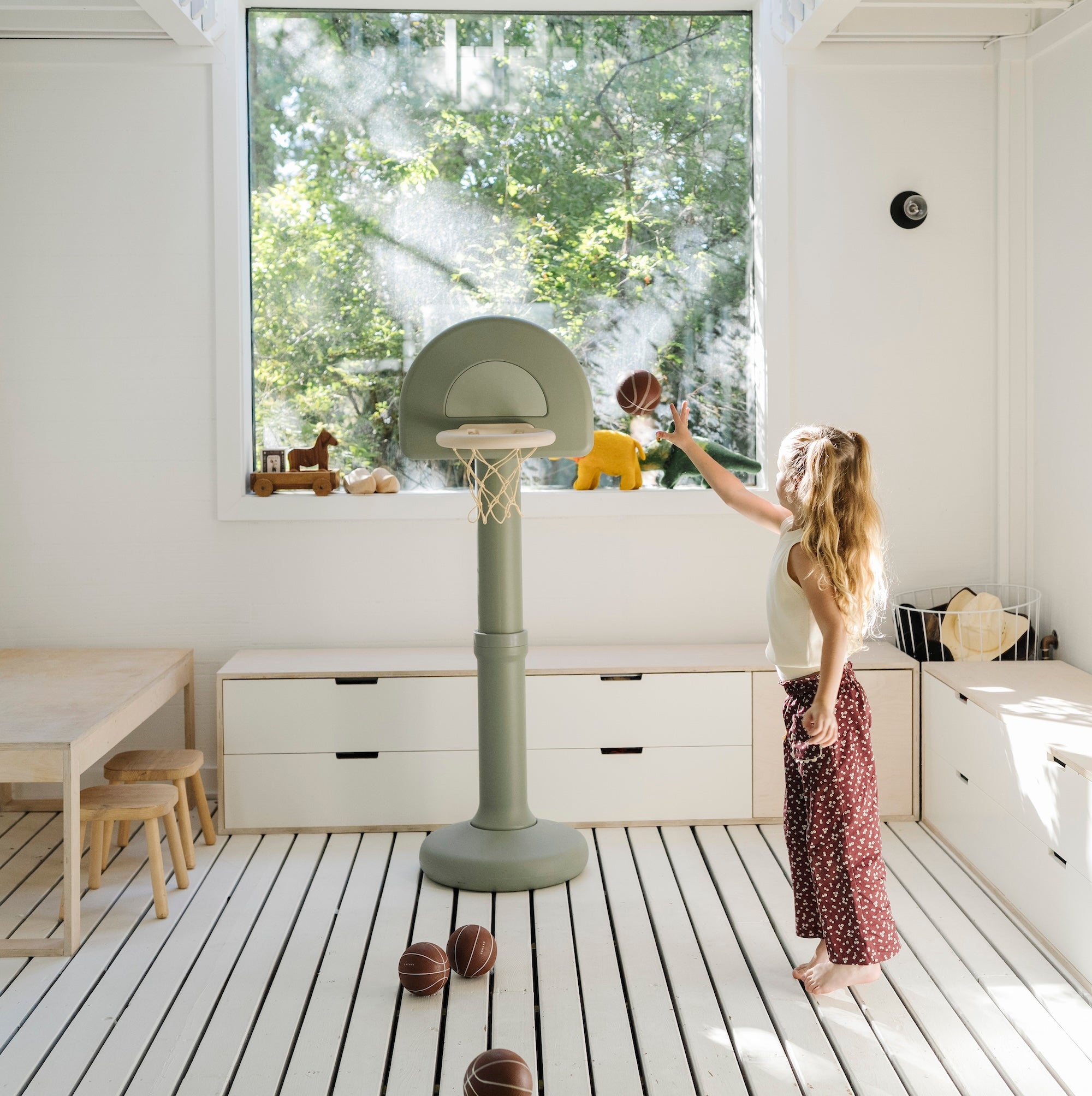 Basketball Hoop
