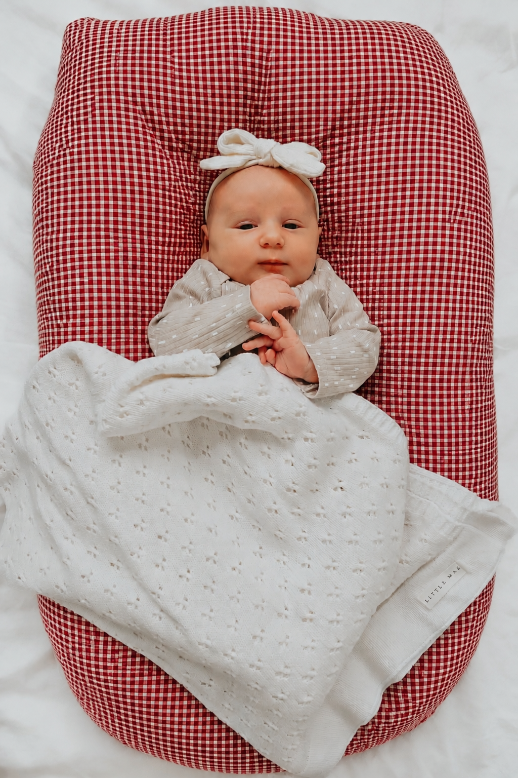 Red Gingham Ruffle Baby Lounger Cover