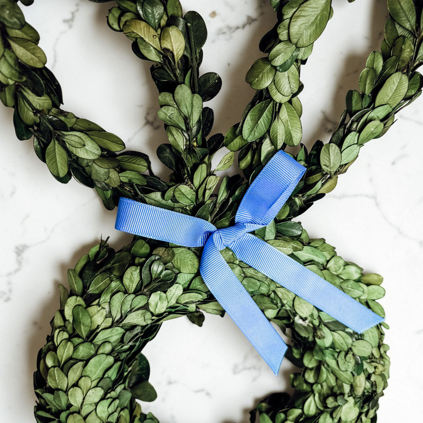 Bunny Wreath Boxwood
