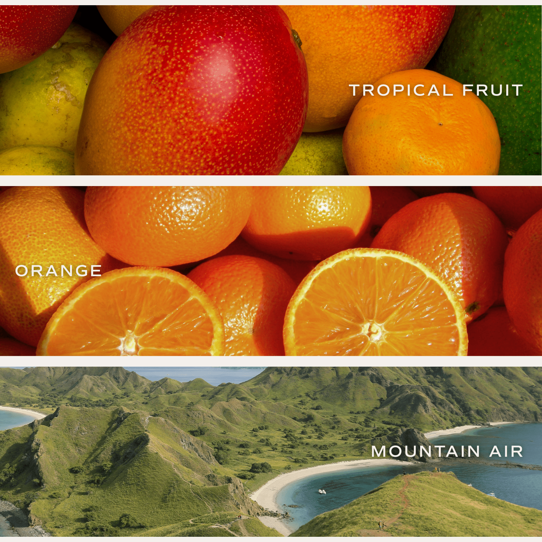 Island Air Soy Candle - Clear Jar - 9 oz