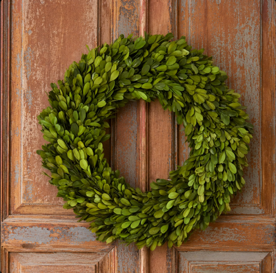 14” Preserved Boxwood Wreath
