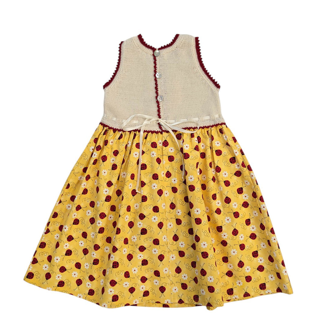 Ladybug Dress