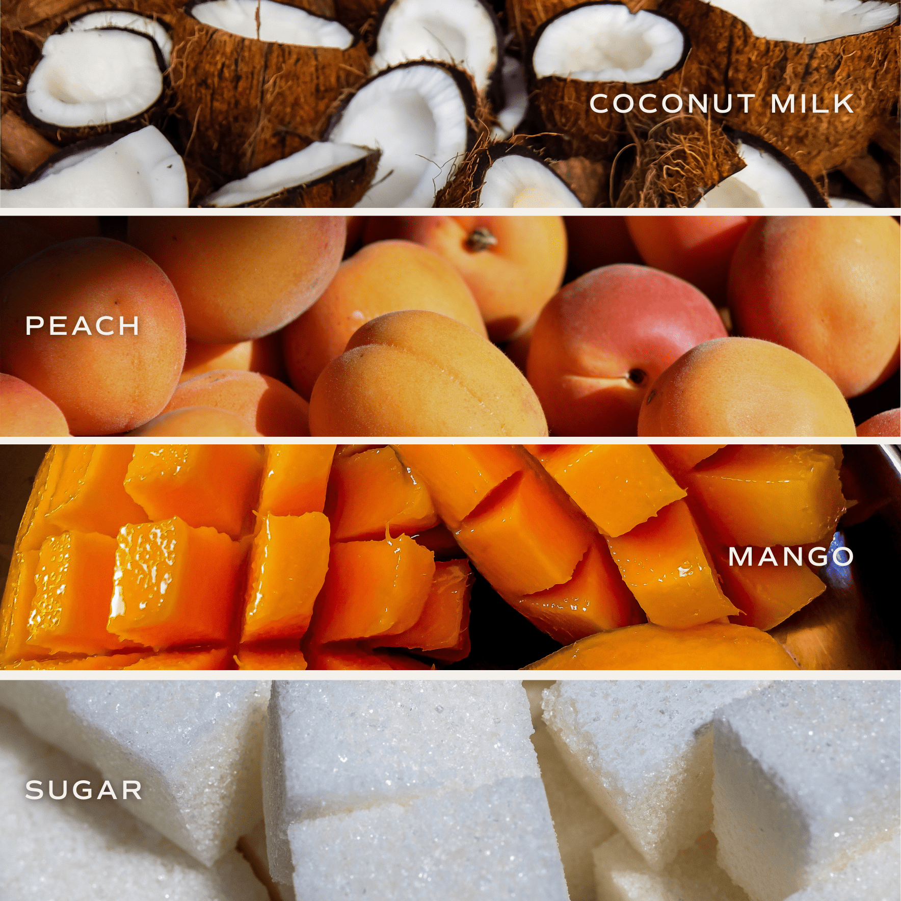 Mango and Coconut Clear Reed Diffuser