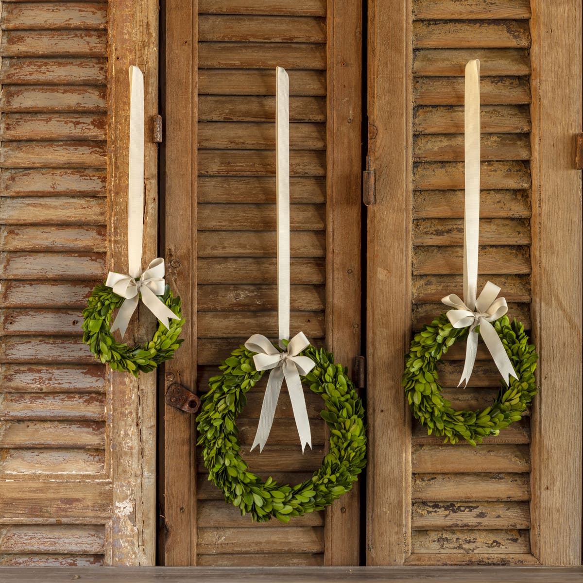 Boxwood Wreaths with Ribbon Set of 3