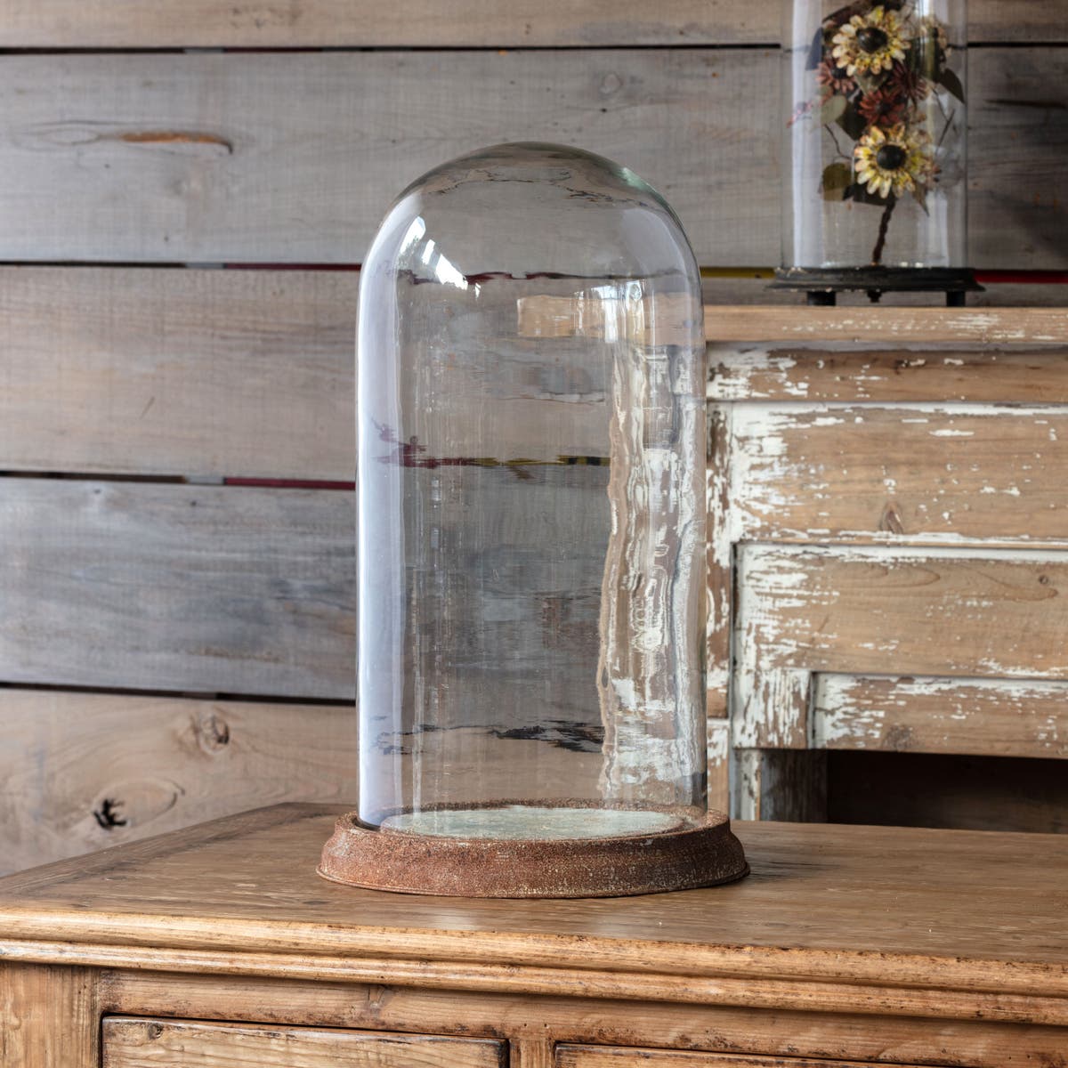 Estate Glass Display Dome W/ Weathered Base