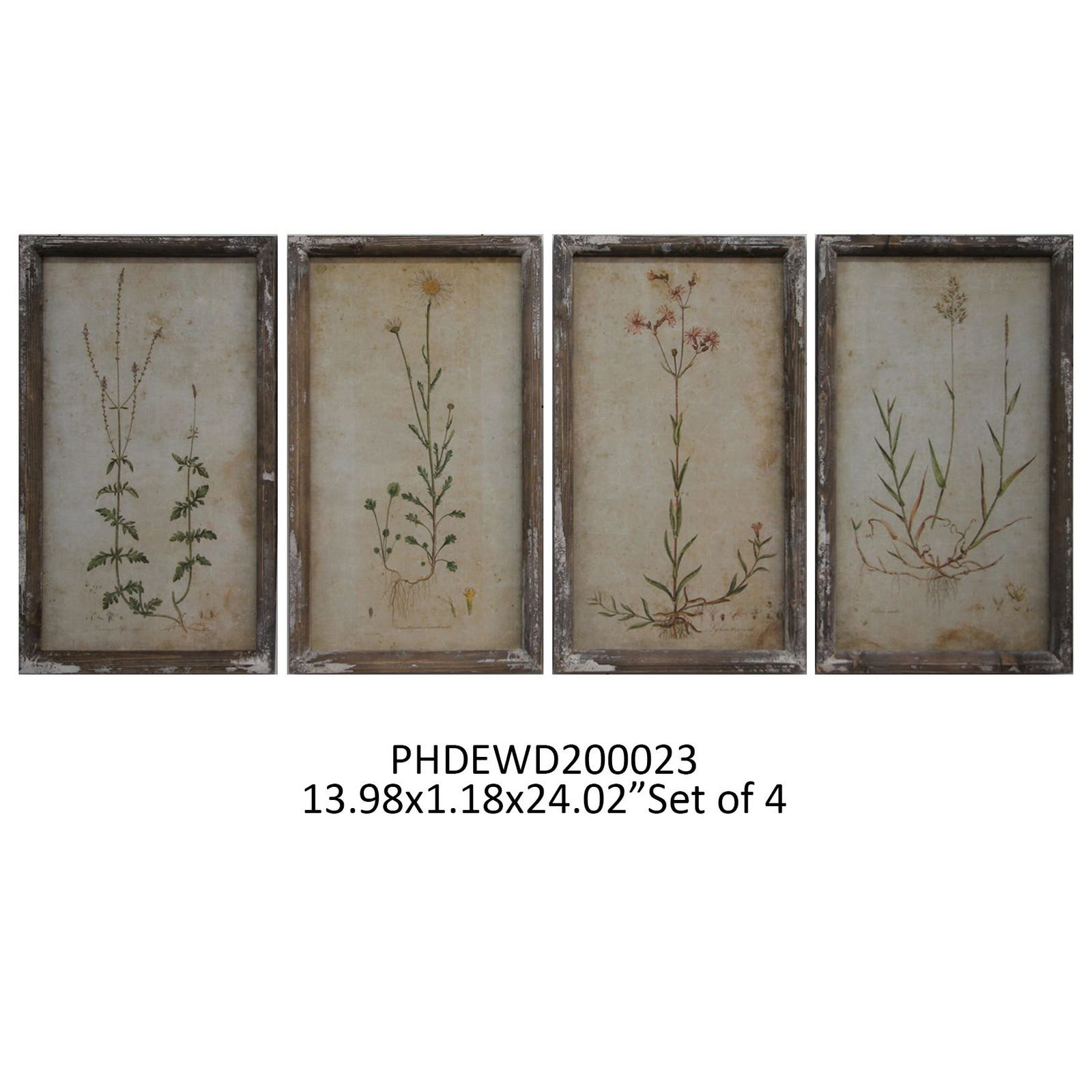 Field Flower Botanical Prints - Set of 4