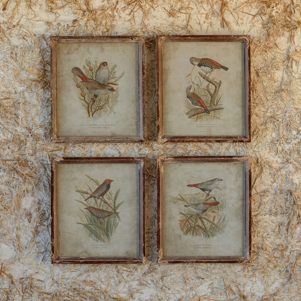 Birds in the Field Prints - Set of 4