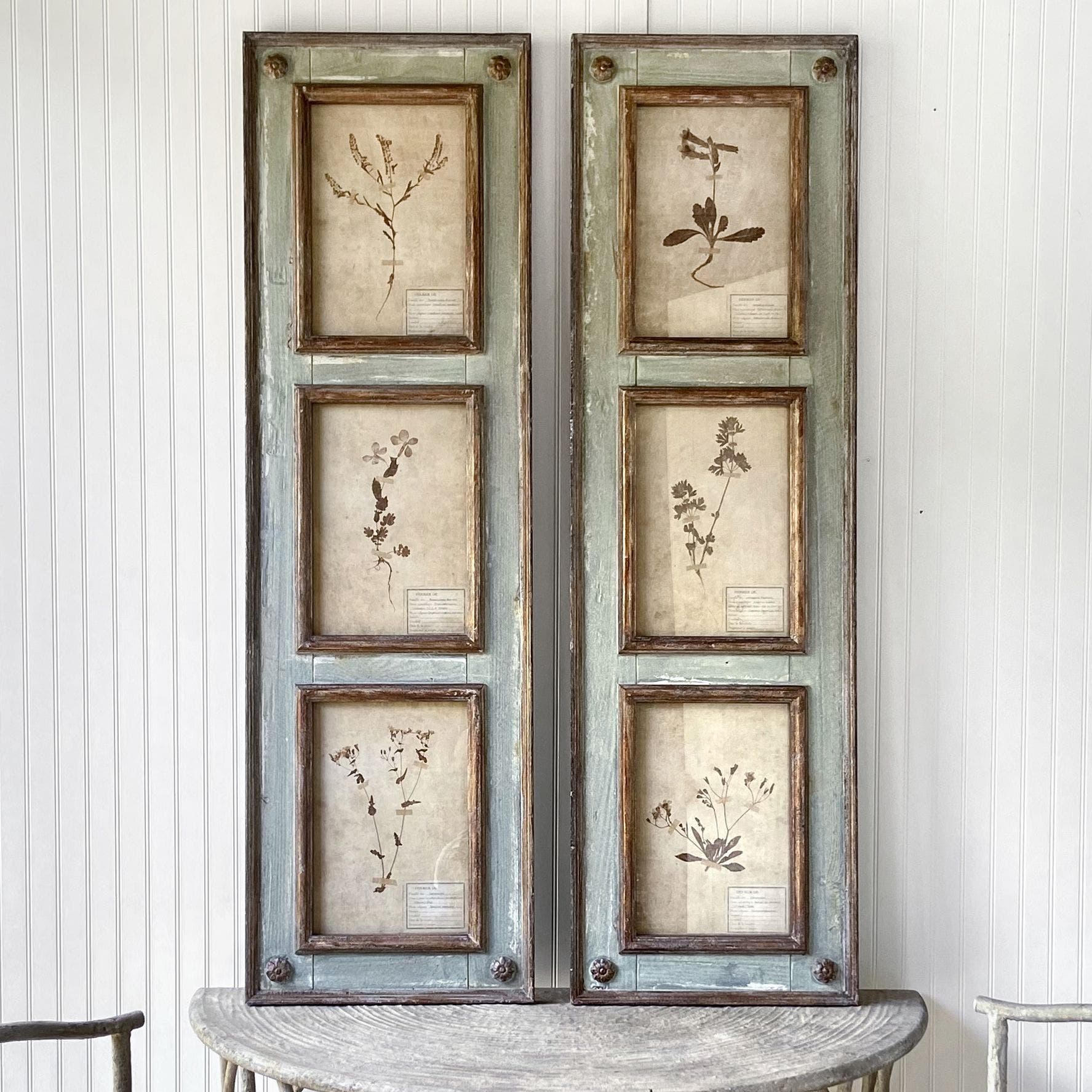 Framed Botanical Collection Panels Set of 2