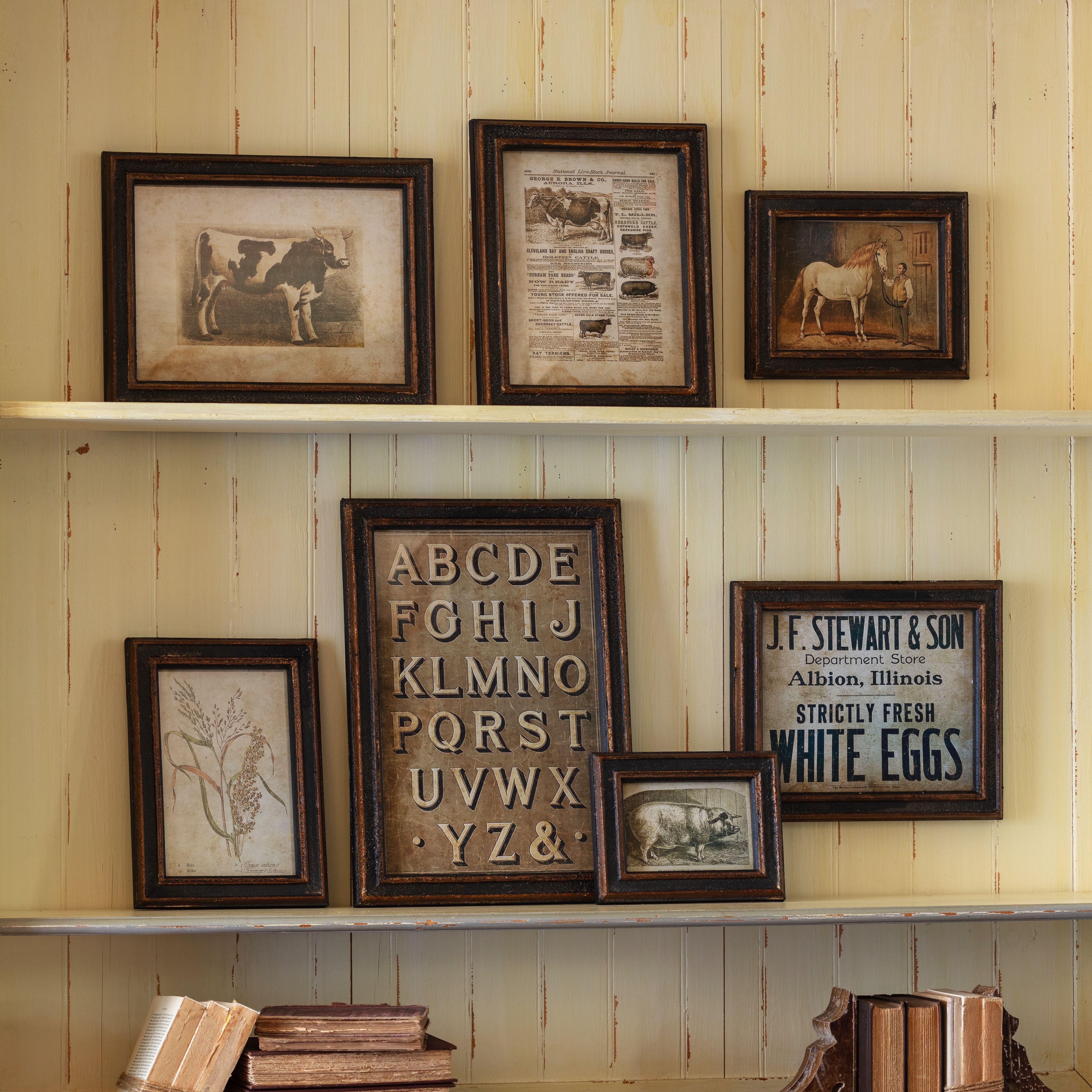 Vintage Feedstore Print Collection, Set of 7